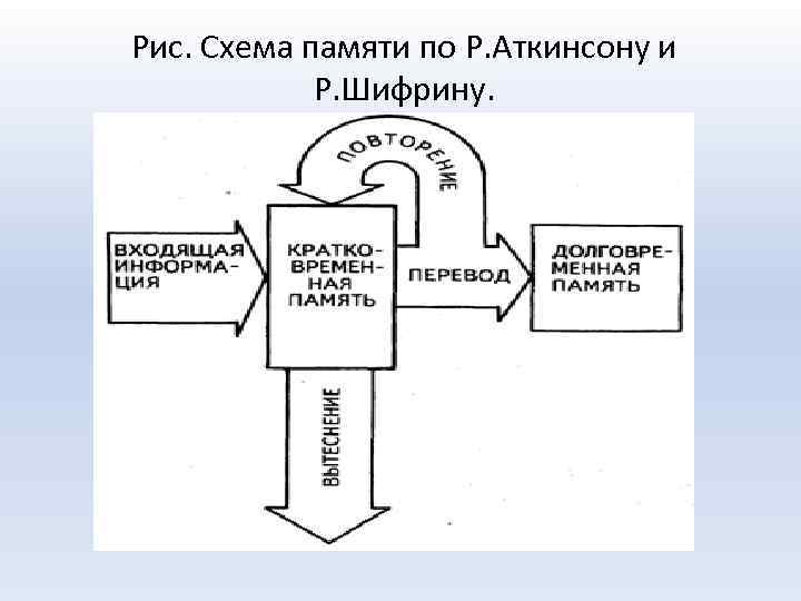 Блок схема память психология