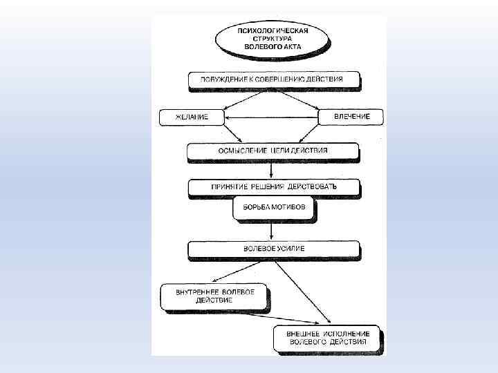 Структура волевого акта в психологии схема