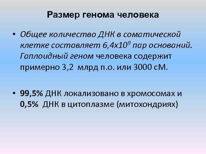 Размер генома человека • Общее количество ДНК в соматической клетке составляет 6, 4 х109