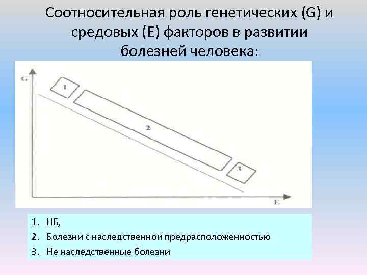 Соотносительная роль генетических (G) и средовых (E) факторов в развитии болезней человека: 1. НБ,