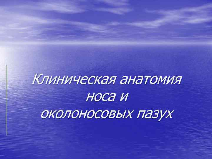 Клиническая анатомия носа и околоносовых пазух 