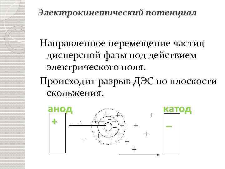 Электрокинетический потенциал Направленное перемещение частиц дисперсной фазы под действием электрического поля. Происходит разрыв ДЭС