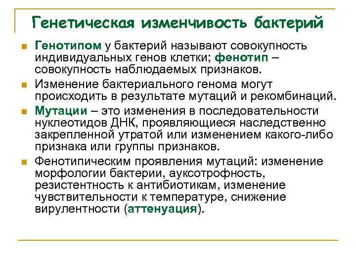 Генетическая изменчивость бактерий n n Генотипом у бактерий называют совокупность индивидуальных генов клетки; фенотип