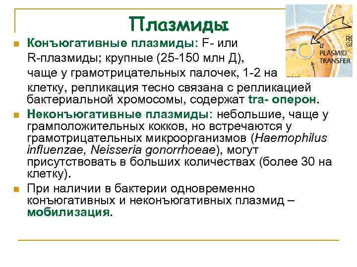 Плазмиды n n n Конъюгативные плазмиды: F- или R-плазмиды; крупные (25 -150 млн Д),