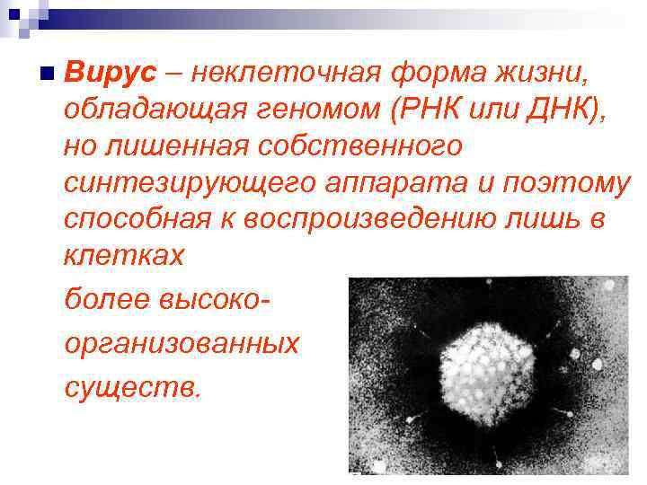 n Вирус – неклеточная форма жизни, обладающая геномом (РНК или ДНК), но лишенная собственного