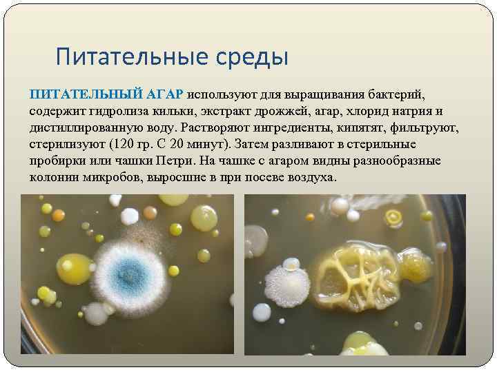 Питательные среды ПИТАТЕЛЬНЫЙ АГАР используют для выращивания бактерий, содержит гидролиза кильки, экстракт дрожжей, агар,