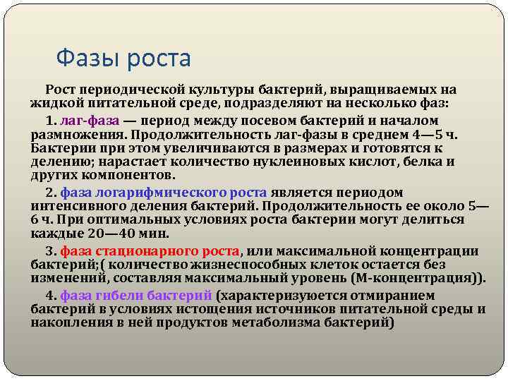 Фазы роста Рост периодической культуры бактерий, выращиваемых на жидкой питательной среде, подразделяют на несколько