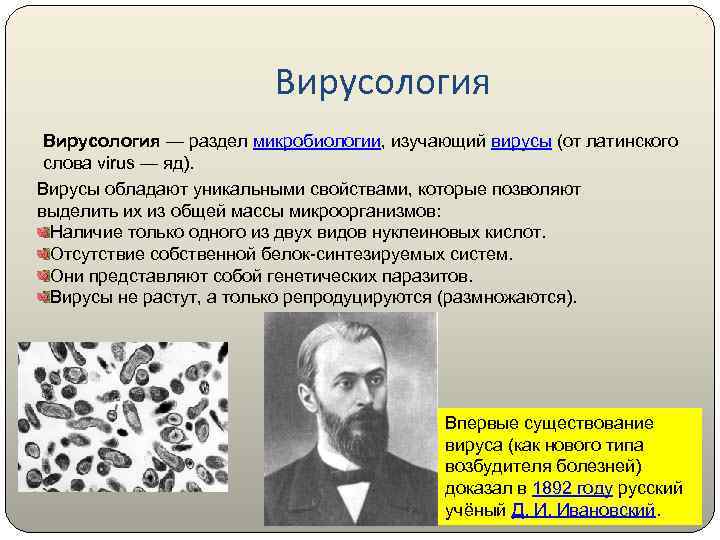 Вирусология — раздел микробиологии, изучающий вирусы (от латинского слова virus — яд). Вирусы обладают