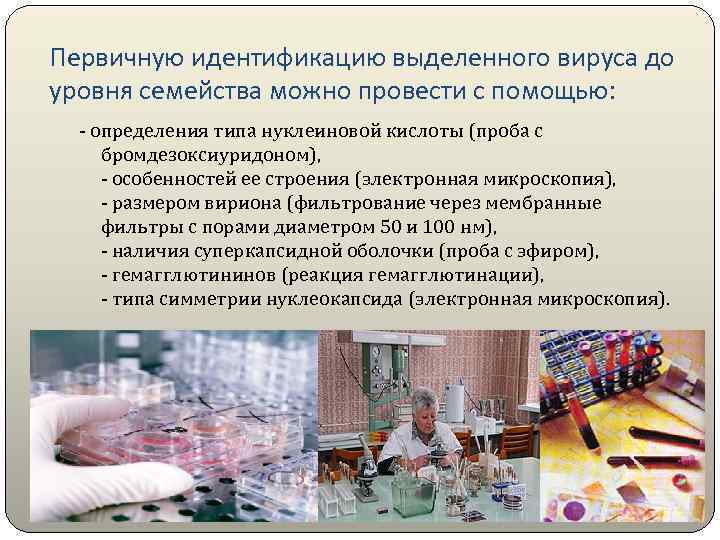 Первичную идентификацию выделенного вируса до уровня семейства можно провести с помощью: - определения типа