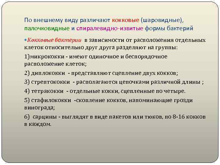По внешнему виду различают кокковые (шаровидные), палочковидные и спиралевидно-извитые формы бактерий Кокковые бактерии в