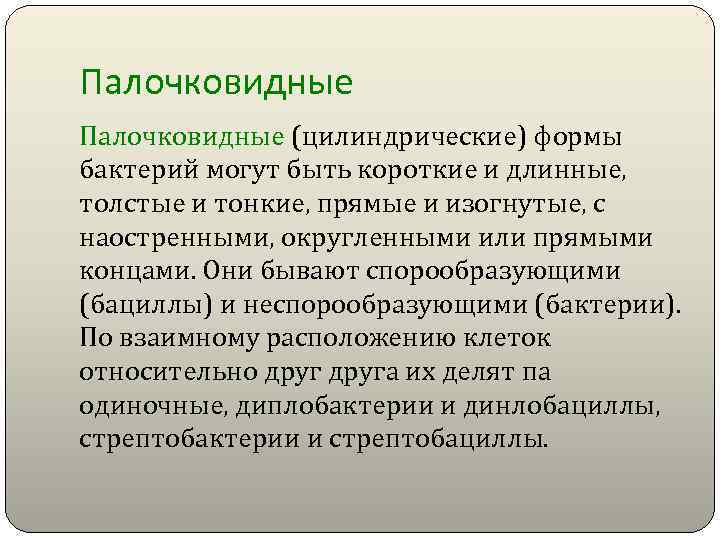 Палочковидные (цилиндрические) формы бактерий могут быть короткие и длинные, толстые и тонкие, прямые и