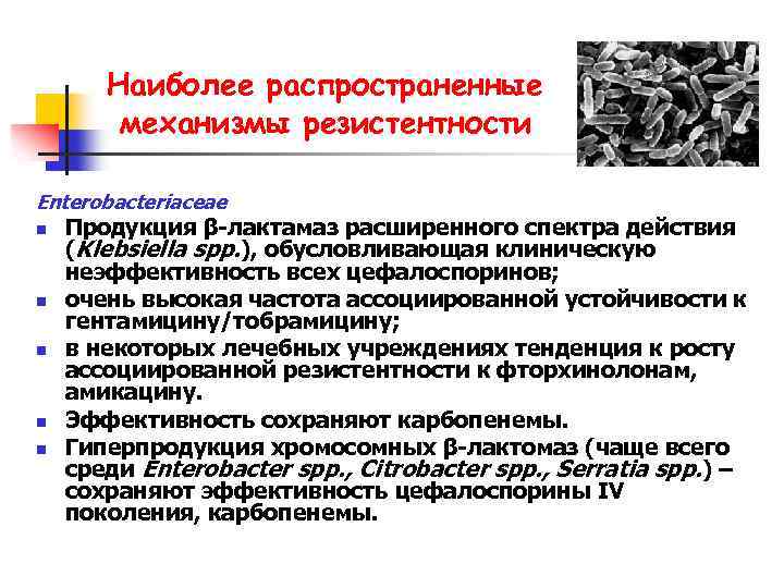 Наиболее распространенные механизмы резистентности Enterobacteriaceae n n n Продукция β-лактамаз расширенного спектра действия (Klebsiella