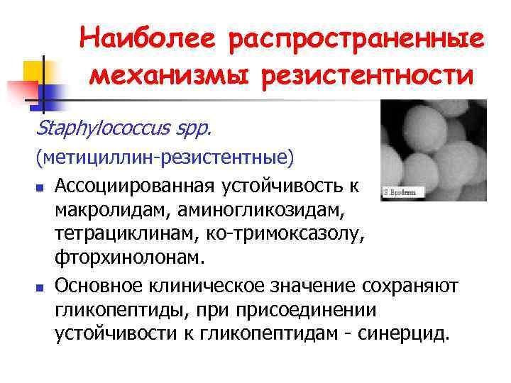Наиболее распространенные механизмы резистентности Staphylococcus spp. (метициллин-резистентные) n Ассоциированная устойчивость к макролидам, аминогликозидам, тетрациклинам,