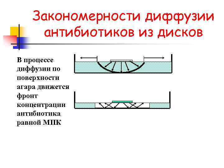 Закономерности диффузии антибиотиков из дисков В процессе диффузии по поверхности агара движется фронт концентрации