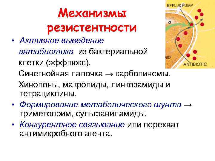 Механизмы резистентности • Активное выведение антибиотика из бактериальной клетки (эффлюкс). Синегнойная палочка → карбопинемы.
