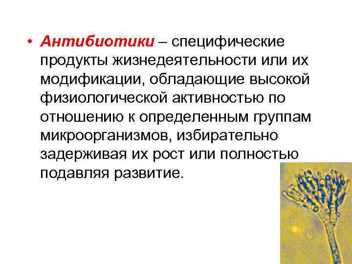  • Антибиотики – специфические продукты жизнедеятельности или их модификации, обладающие высокой физиологической активностью