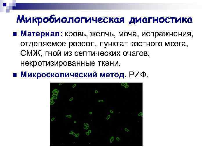 Микробиологическая диагностика n n Материал: кровь, желчь, моча, испражнения, отделяемое розеол, пунктат костного мозга,