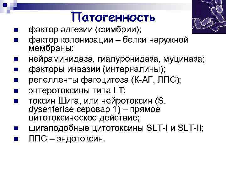 Патогенность n n n n n фактор адгезии (фимбрии); фактор колонизации – белки наружной