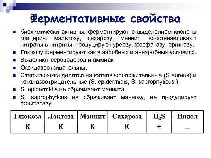Ферментативные свойства n n n n биохимически активны: ферментируют с выделением кислоты глицерин, мальтозу,