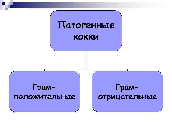 Патогенные кокки Грамположительные Грамотрицательные 