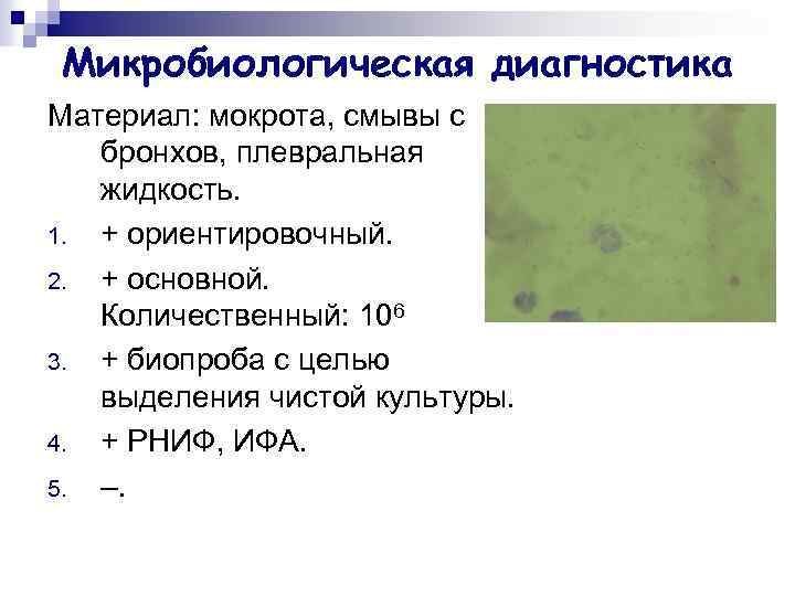 Микробиологическая диагностика Материал: мокрота, смывы с бронхов, плевральная жидкость. 1. + ориентировочный. 2. +