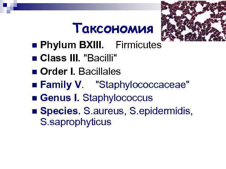 Таксономия Phylum BXIII. Firmicutes n Class III. 