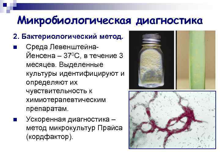Микробиологическая диагностика 2. Бактериологический метод. n Среда Левенштейна. Йенсена – 370 С, в течение