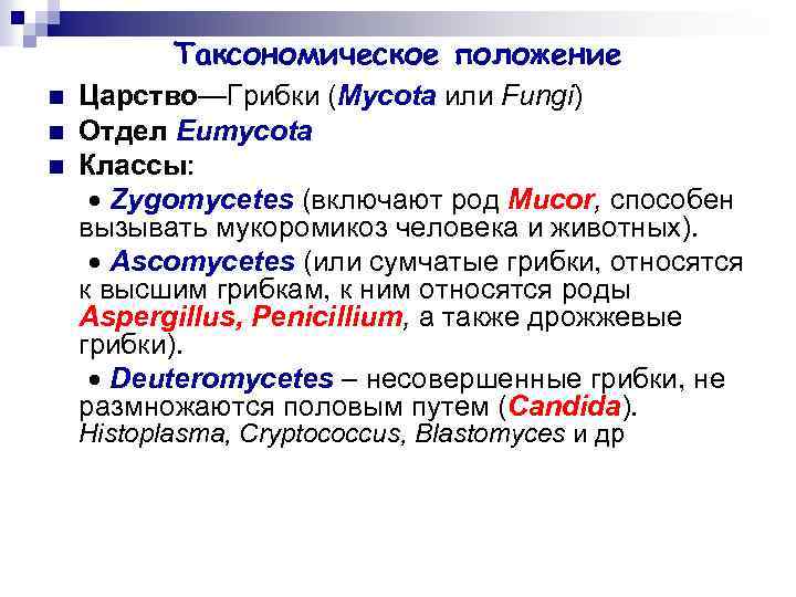 Таксономическое положение n n n Царство—Грибки (Mycota или Fungi) Отдел Eumycota Классы: Zygomycetes (включают