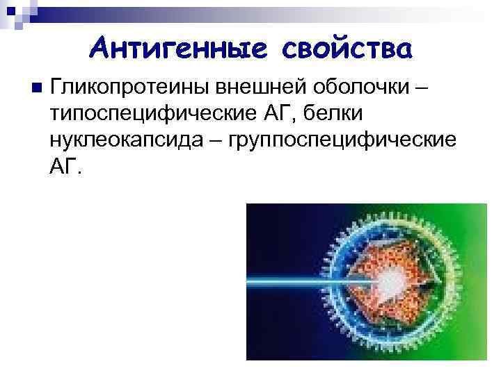 Антигенные свойства n Гликопротеины внешней оболочки – типоспецифические АГ, белки нуклеокапсида – группоспецифические АГ.