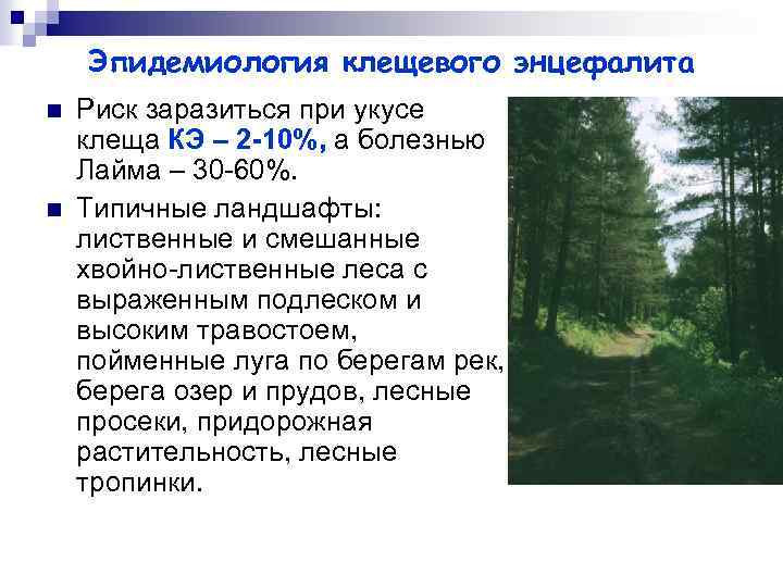 Эпидемиология клещевого энцефалита n n Риск заразиться при укусе клеща КЭ – 2 -10%,