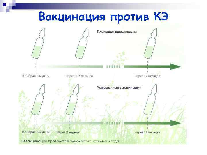 Вакцинация против КЭ 