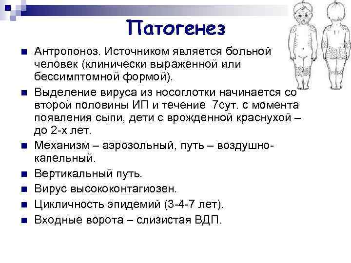 Патогенез n n n n Антропоноз. Источником является больной человек (клинически выраженной или бессимптомной