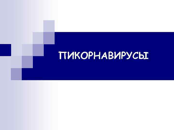 ПИКОРНАВИРУСЫ 