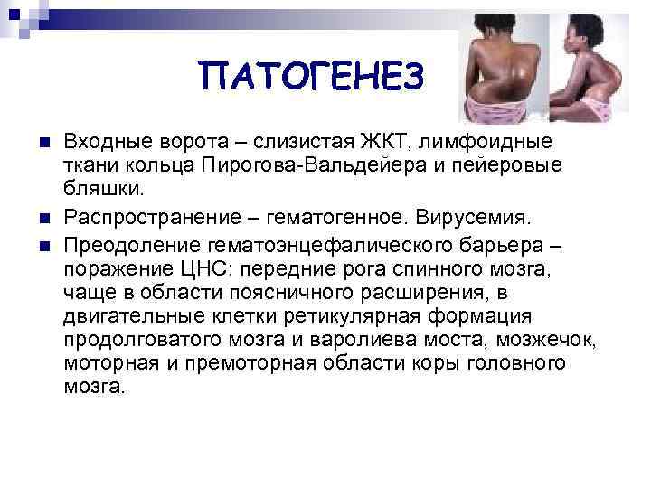 ПАТОГЕНЕЗ n n n Входные ворота – слизистая ЖКТ, лимфоидные ткани кольца Пирогова-Вальдейера и