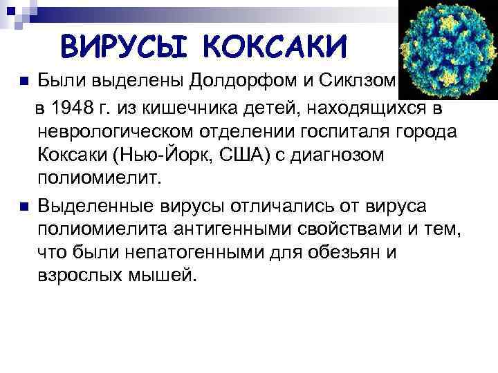 ВИРУСЫ КОКСАКИ Были выделены Долдорфом и Сиклзом в 1948 г. из кишечника детей, находящихся