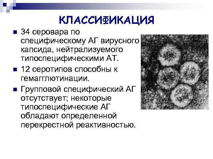 КЛАССИФИКАЦИЯ n n n 34 серовара по специфическому АГ вирусного капсида, нейтрализуемого типоспецифическими АТ.