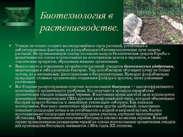 Биотехнология в растениеводстве. Ú Ученые не только создают высокоурожайные сорта растений, устойчивые к неблагоприятным