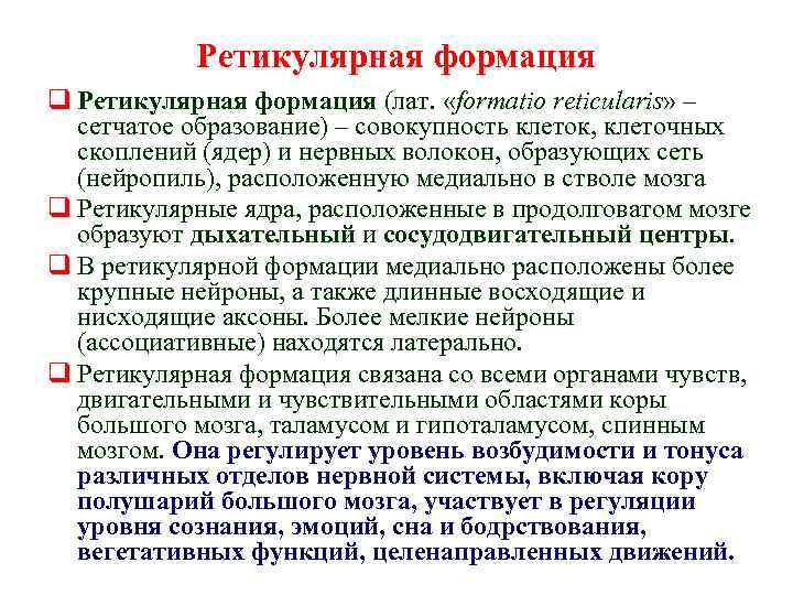 Ретикулярная формация q Ретикулярная формация (лат. «formatio reticularis» – сетчатое образование) – совокупность клеток,