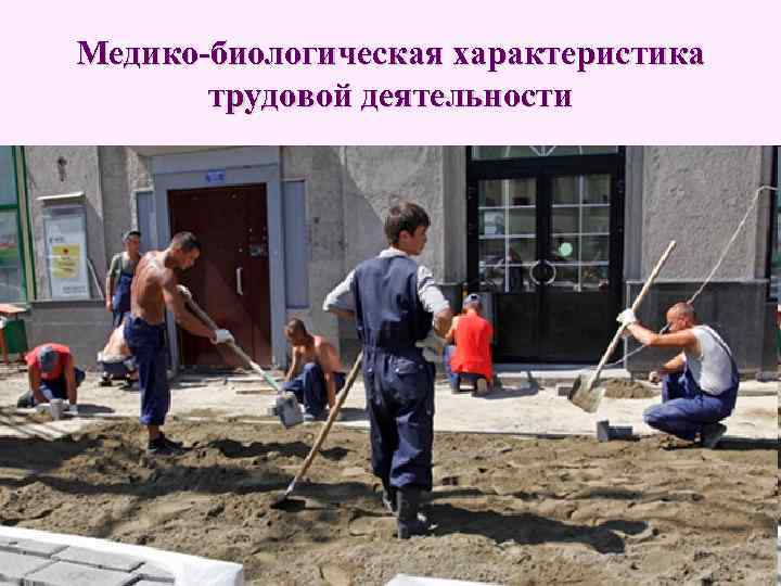 Медико-биологическая характеристика трудовой деятельности 