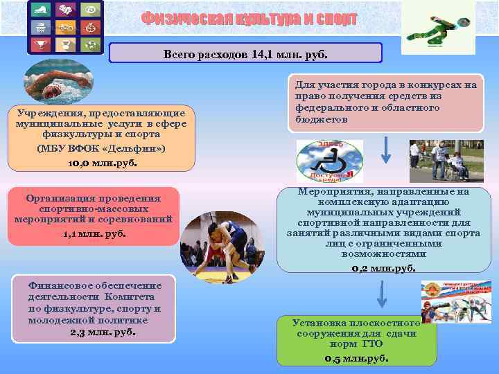 Физическая культура и спорт Всего расходов 14, 1 млн. руб. Учреждения, предоставляющие муниципальные услуги