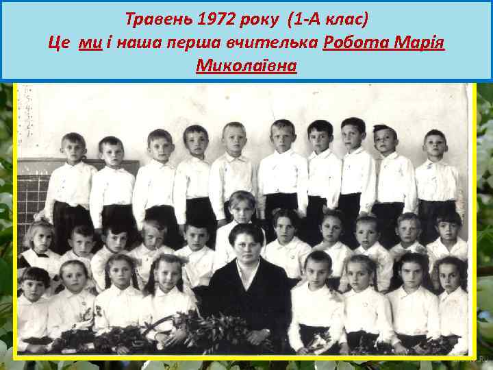 Травень 1972 року (1 -А клас) Це ми і наша перша вчителька Робота Марія
