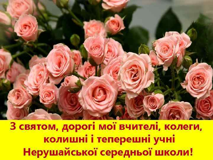 З святом, дорогі мої вчителі, колеги, колишні і теперешні учні Нерушайської середньої школи! 