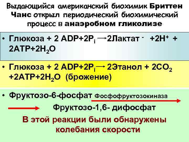 Выдающийся американский биохимик Бриттен Чанс открыл периодический биохимический процесс в анаэробном гликолизе • Глюкоза