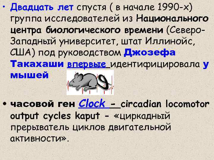  • Двадцать лет спустя ( в начале 1990 -х) группа исследователей из Национального