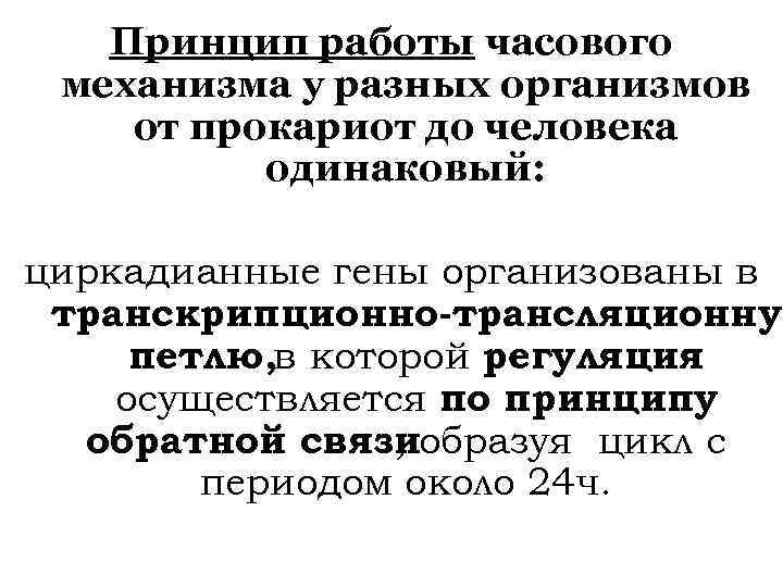 Принцип работы часового механизма у разных организмов от прокариот до человека одинаковый: циркадианные гены