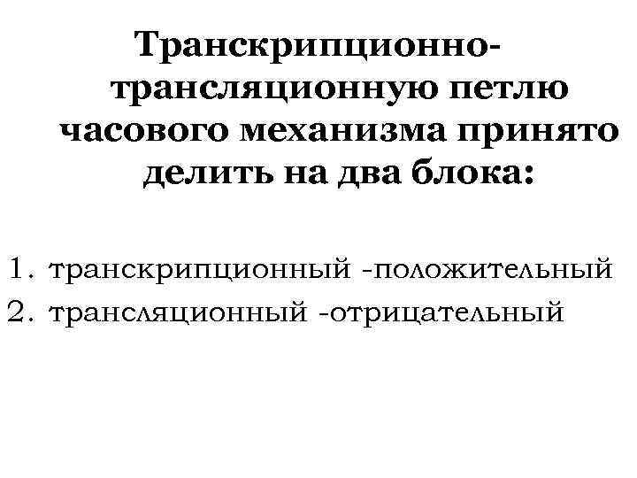 Транскрипционнотрансляционную петлю часового механизма принято делить на два блока: 1. транскрипционный -положительный 2. трансляционный