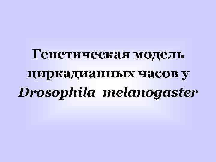 Генетическая модель циркадианных часов у Drosophila melanogaster 