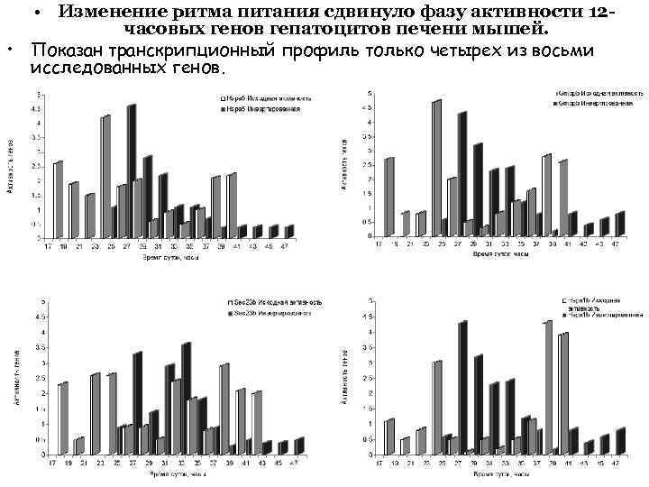  • Изменение ритма питания сдвинуло фазу активности 12 часовых генов гепатоцитов печени мышей.