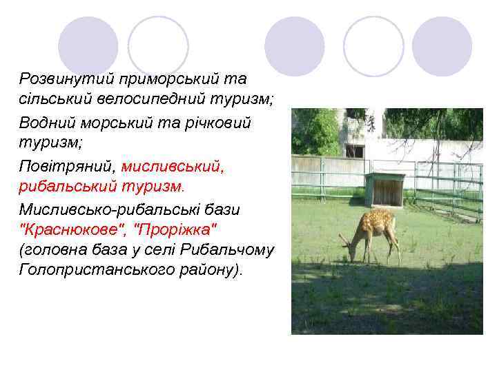 Розвинутий приморський та сільський велосипедний туризм; Водний морський та річковий туризм; Повітряний, мисливський, рибальський