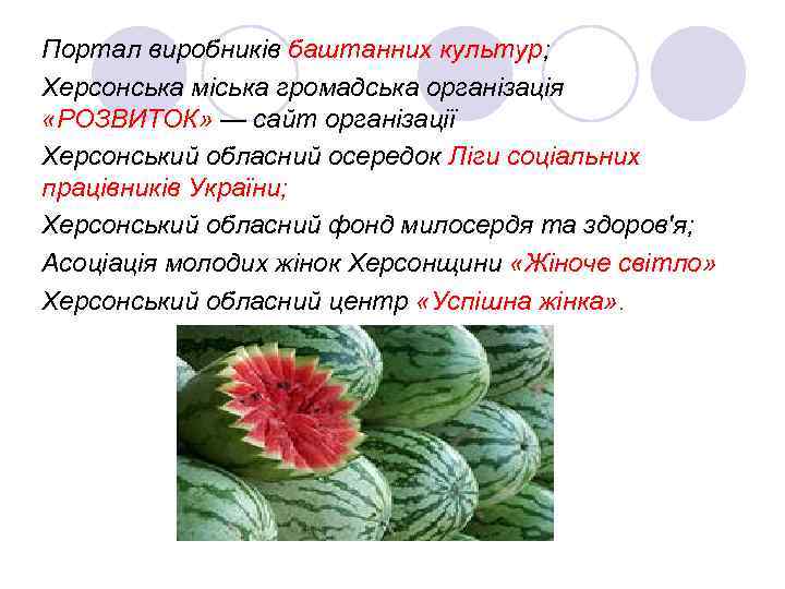 Портал виробників баштанних культур; Херсонська міська громадська організація «РОЗВИТОК» — сайт організації Херсонський обласний